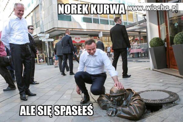 Siema, norek 