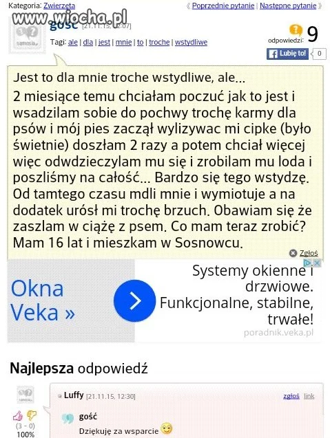 Wilkołaki w Sosnowcu...