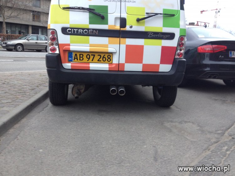 Podwójny wydech ... 