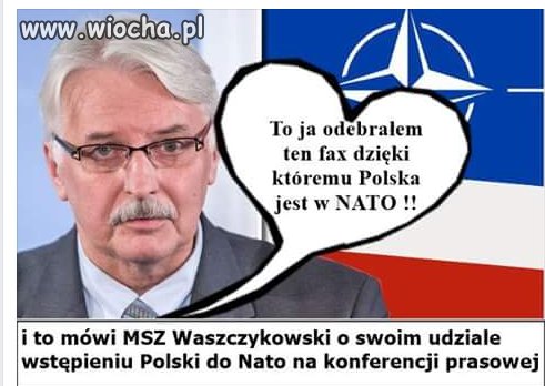 Jak osioł ze Shreka
