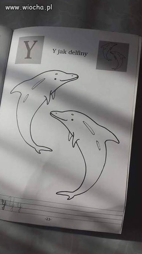 Delfiny.