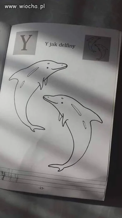 Delfiny.