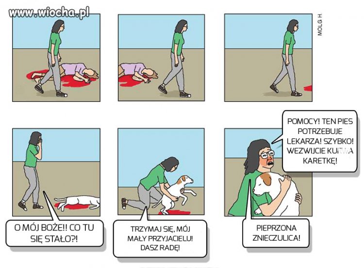 Wrażliwa feministka