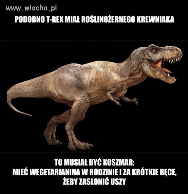 Roślinożerca