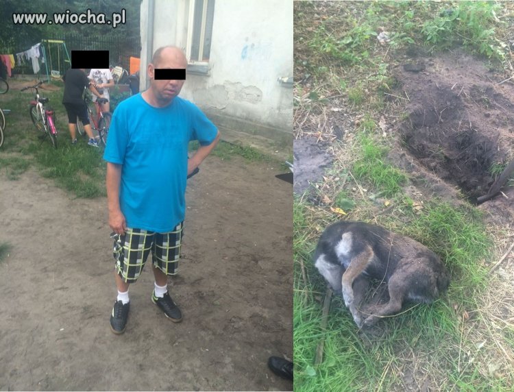 Zakopał psa żywcem po pijaku 