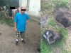 Zakopał psa żywcem po pijaku 
