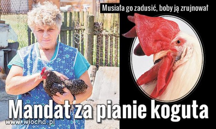 Dwie wiochy w jednym