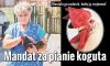 Dwie wiochy w jednym