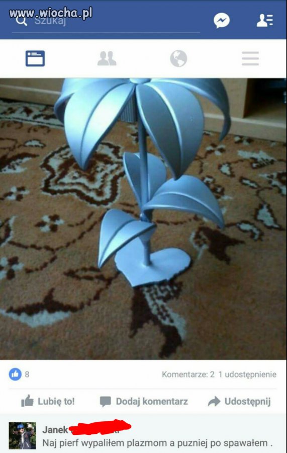 Mistrz ortografii 