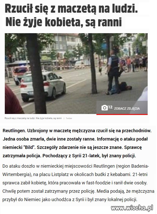 Kolejny syryjski uchodźca z maczetą