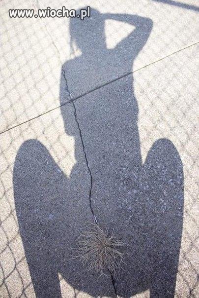 Beata i kępa