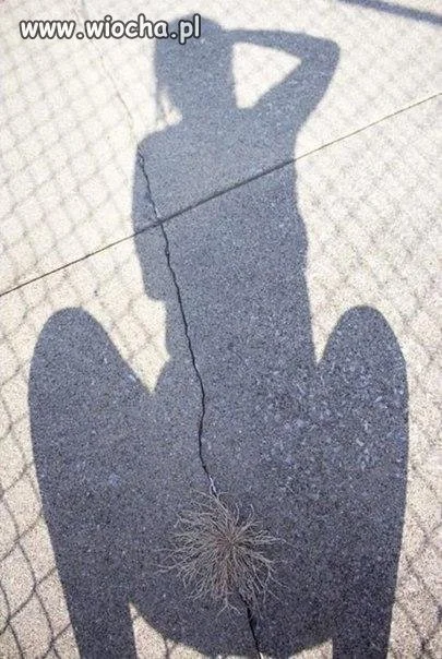 Beata i kępa