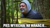  Tak też powinno być