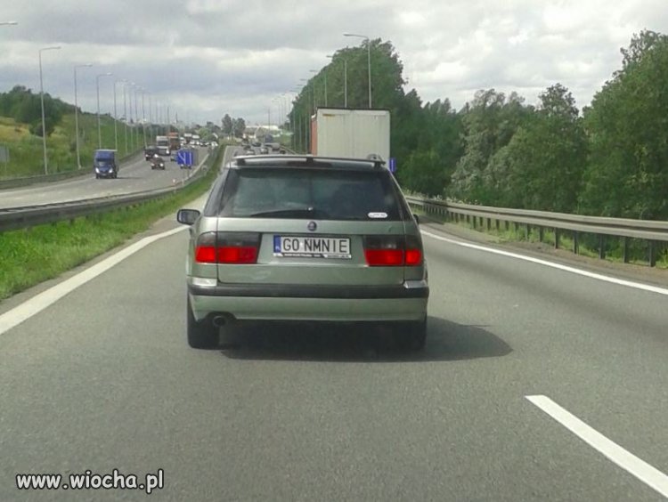 Goń go