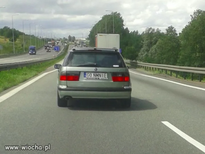 Goń go