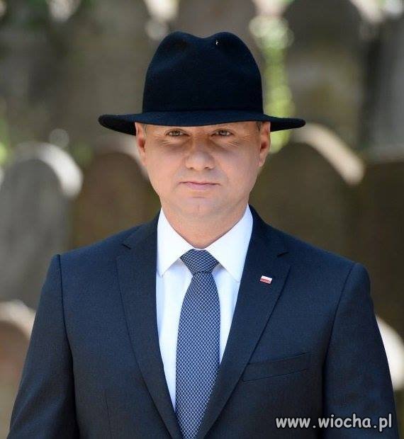 Czyżby wybierał się na rodeo?
