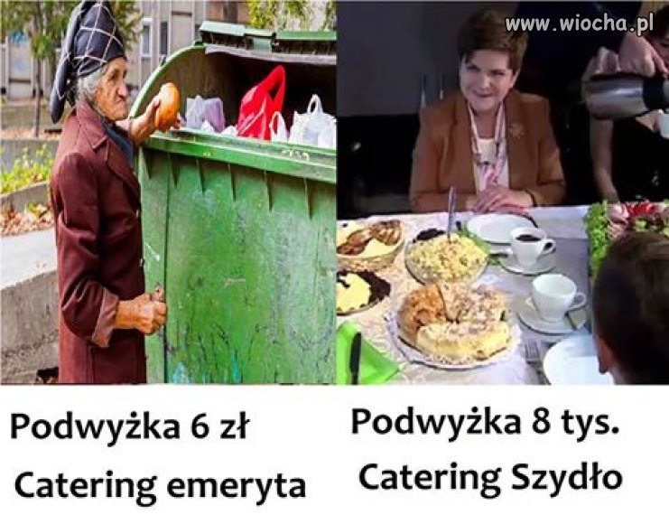  To dopiero ośmiorniczki...