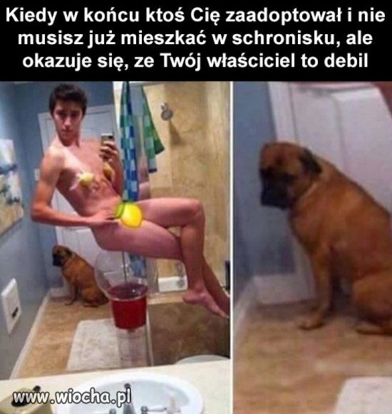 Właściciel.