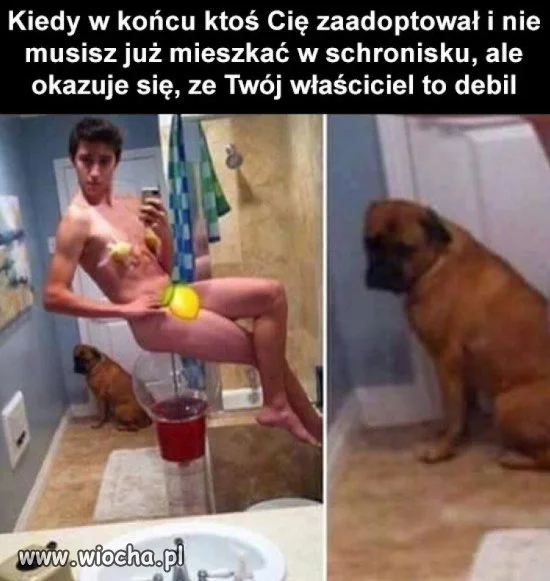 Właściciel.