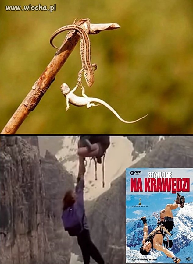 Na krawędzi