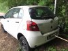 Kreatywny mistrz painta