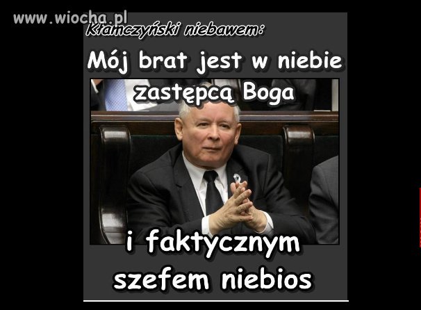 Polityka historyczna jest jak świnka morska