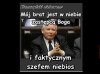 Polityka historyczna jest jak świnka morska