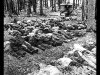 Wołyń 11.07.1943