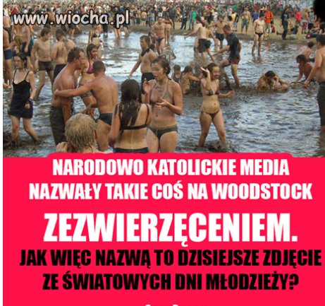 Normalnie bydło