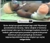 Proste?a nie przenoszenie z parafii na parafię