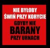 Myśl wieczora 