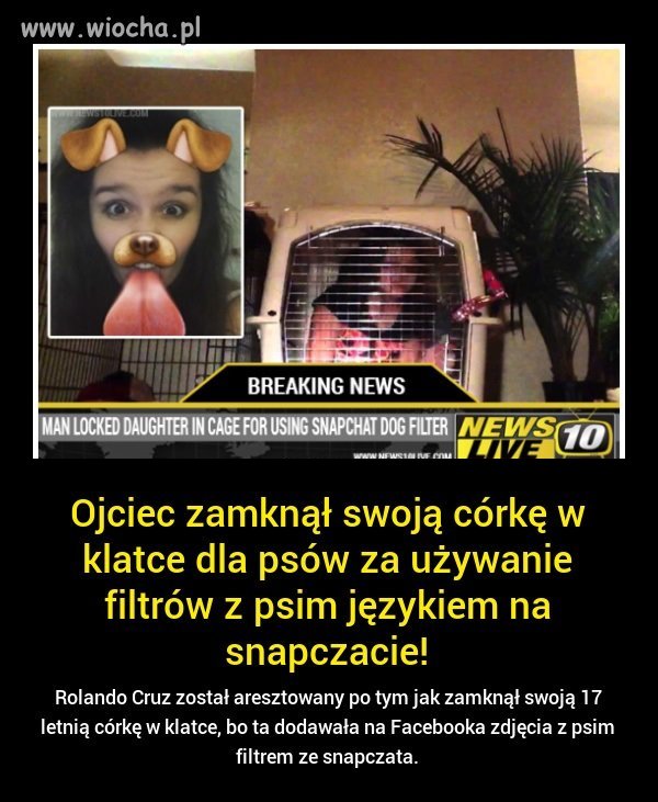 Recepta na niedo#ebanie mózgowe
