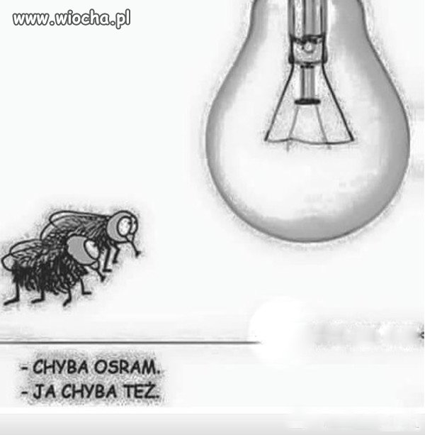 TAKI ŻARCIK