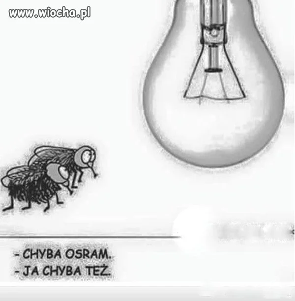 TAKI ŻARCIK