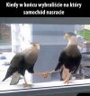 Konsensus w polityce