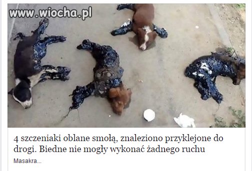 Bydlakowi tak samo
