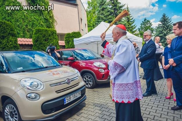 Bogatemu to i byk się "ocieli"