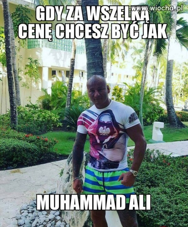 Co ten Szpilka