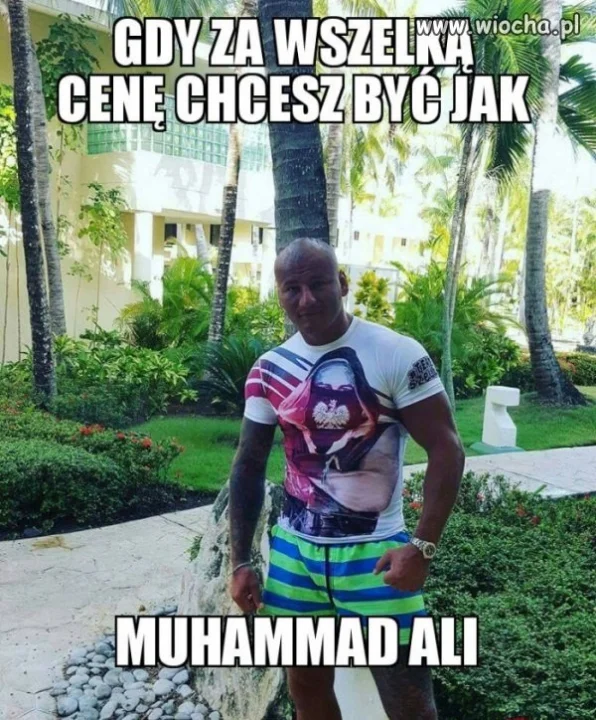 Co ten Szpilka
