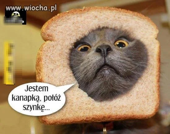 Kanapka