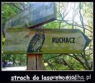 Ruchacz
