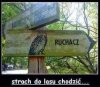 Ruchacz