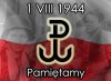 To jest Świeto Powstańców a nie PISu!!!