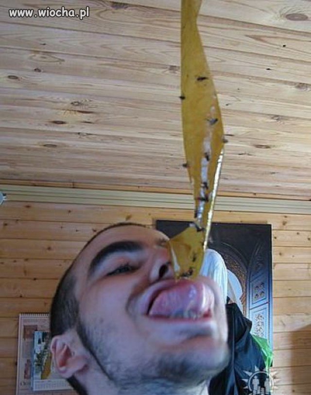 Zabawy z lepem