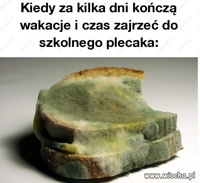 He He He