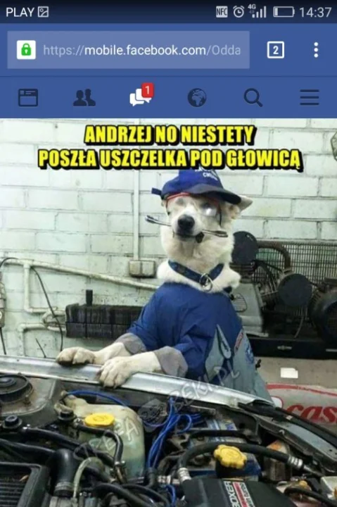 Może nie wiocha 