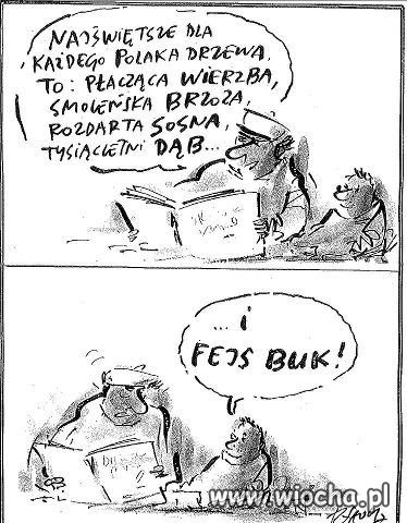 Drzewa kultowe