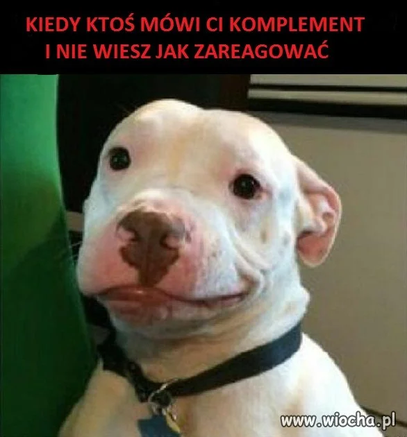 Ten moment