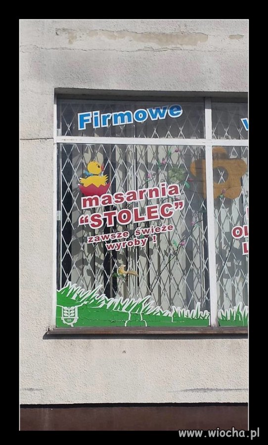 Świeże?