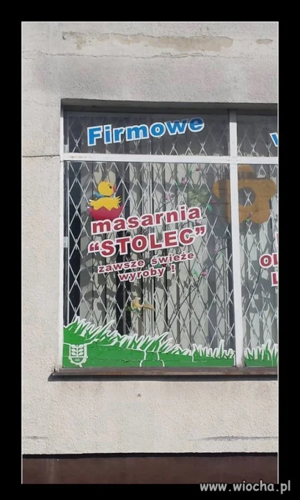 Świeże?